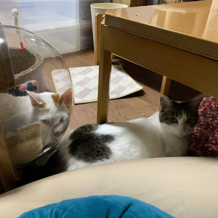 E436b7e7 fd9c 4fd2 9ddf bad8d65961de 1616451357125