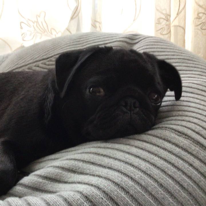 E436d285 8854 4e84 850d 6add90ef1f20 1630282923373