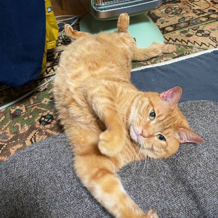 E436e375 682c 4897 afda 2d3c14472fed 1772679415159