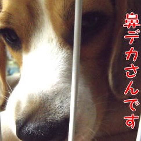 E436edae 6cd3 4716 8e7a 39da30f23826 1693699470271