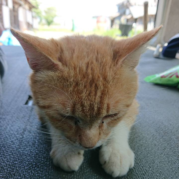 E436fd58 e568 413b bd9a 6780b3f24a0d 1559372615128