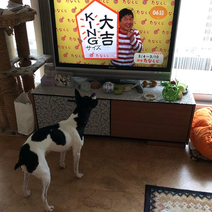 E4373458 d1dc 4a12 bc52 b1acecc5fd3f 1551652153029