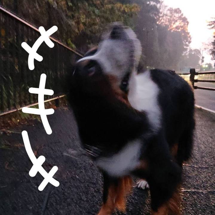 E43767f2 53b0 44e1 86c1 6b7f69c09f96 1575240370189