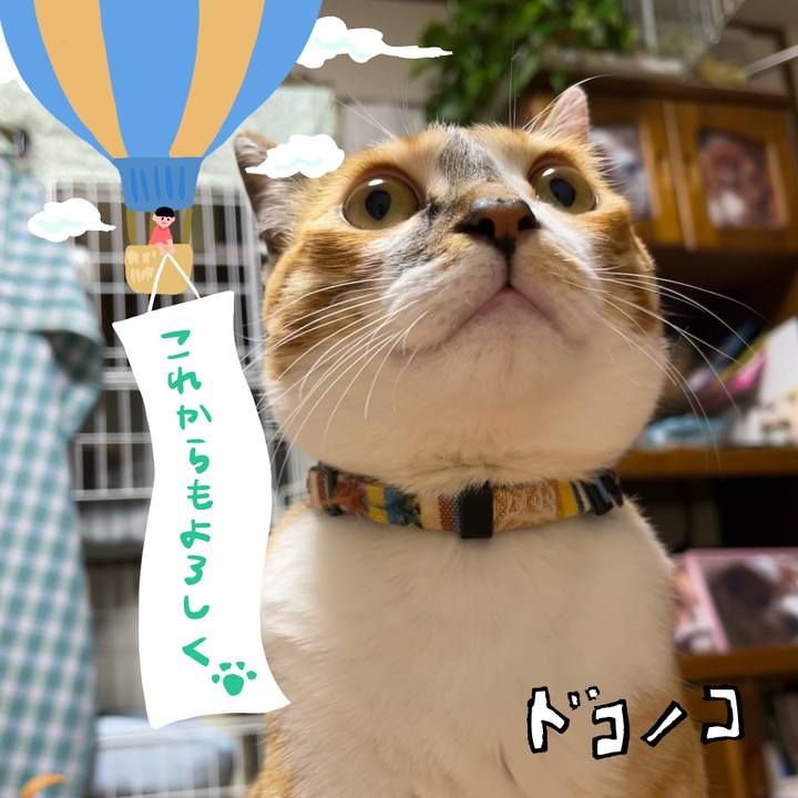 E4378f0d 6ba2 4959 a6db f58c53bb3d9b 1685973394205