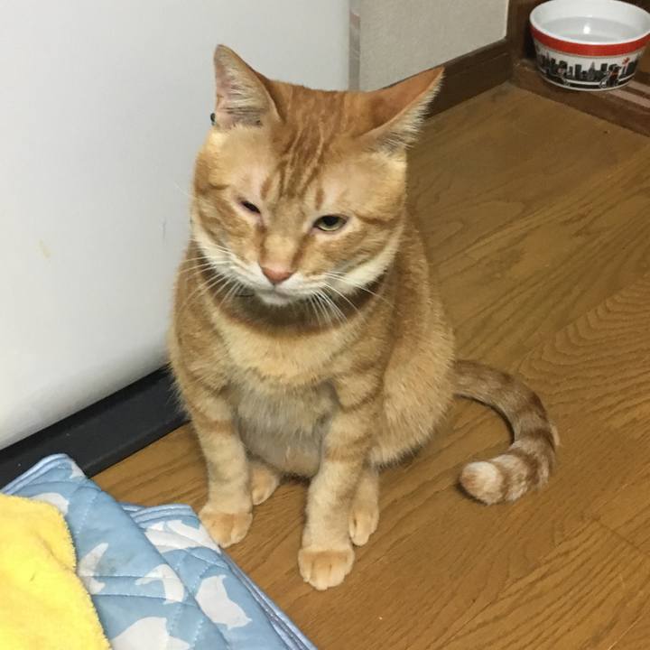 E437c12f 355c 4b6d 96a1 1f7f8c7e295d 1537443454309