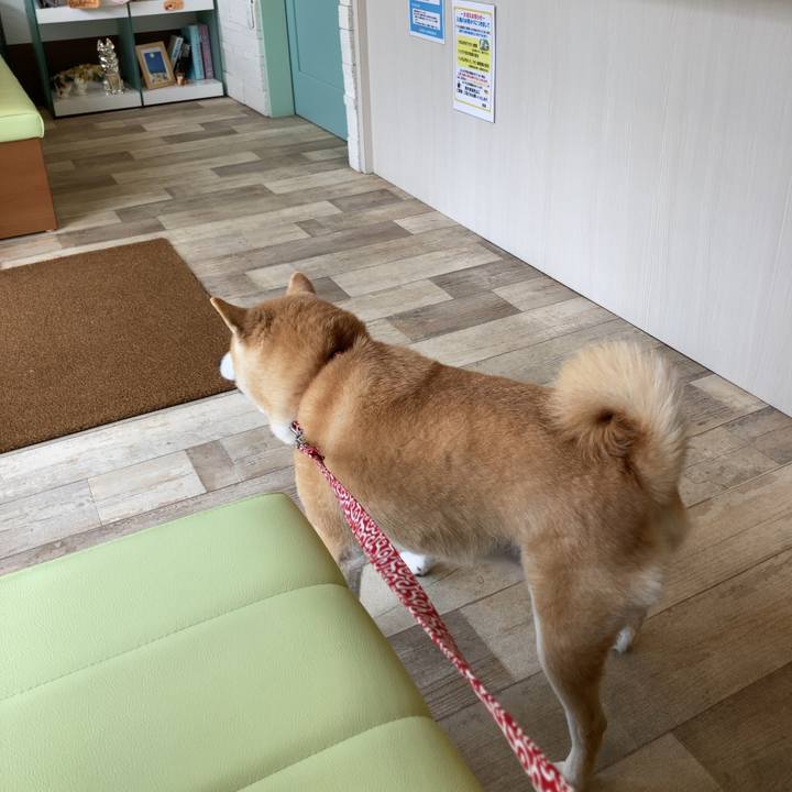 E437c55d 07b2 436f adbb b74f9b531e52 1615290256108