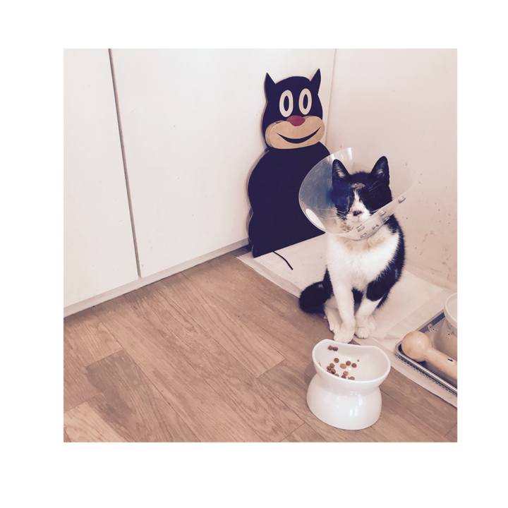 E437ff65 6b5b 474e b2b8 f81770f730c2 1586218469473