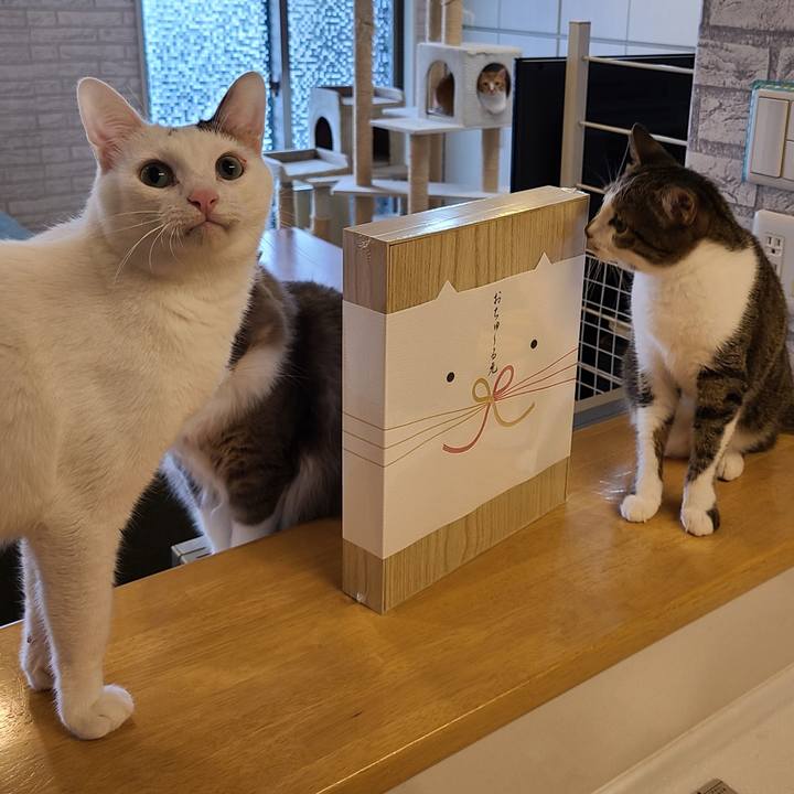 E4380f78 b305 40ec ba0c e4c25d7a7a3d 1629994850188