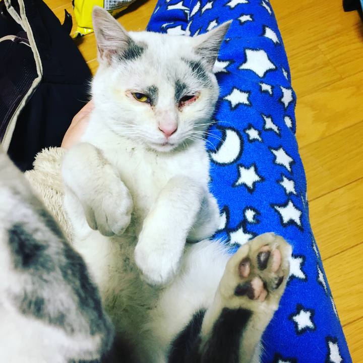 E4385803 048d 49f8 92ca 341191d55e3b 1627662575122