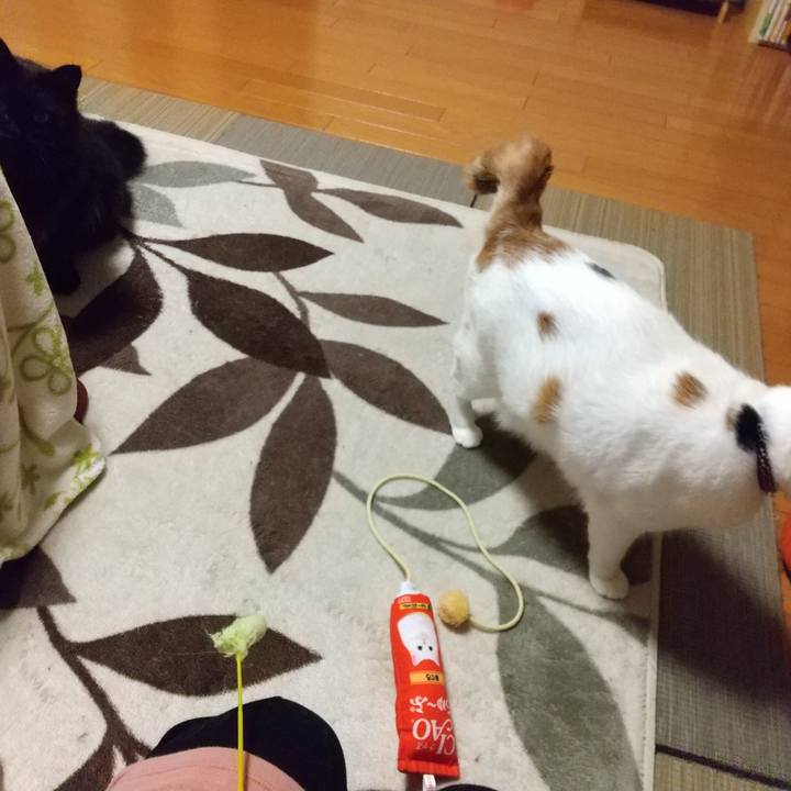 E43858e8 f7ad 4281 950f eac1f52781f6 1589028308797