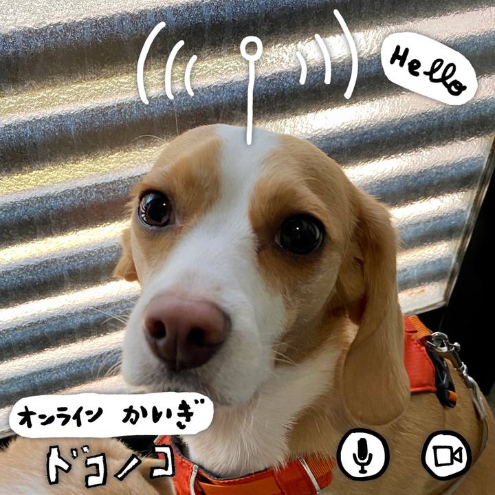 E4386866 c01c 4374 a500 5d68db50092d 1591098769778