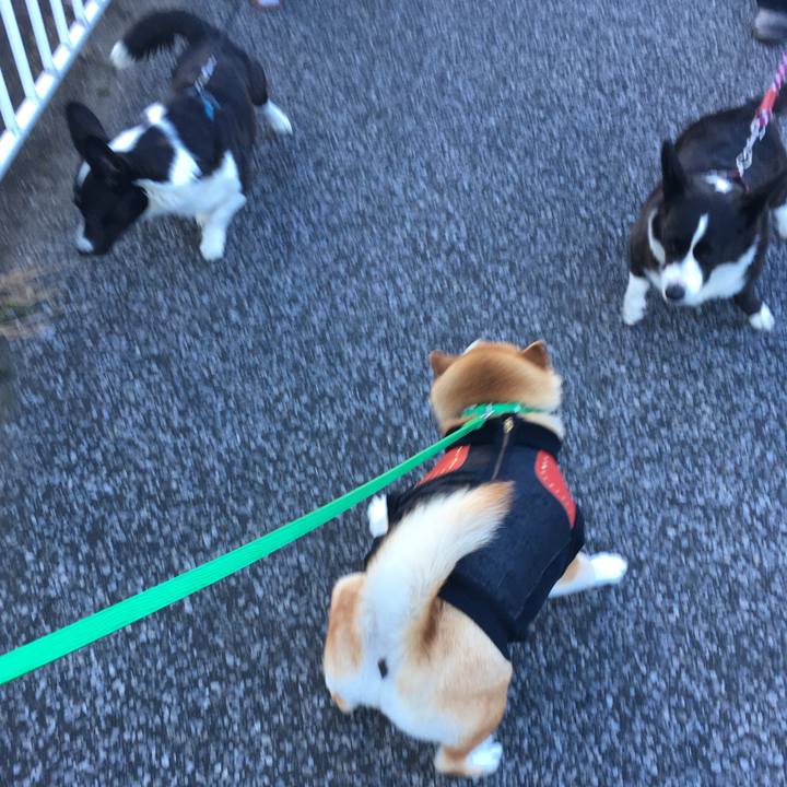 E438a4c5 5315 4477 845d ac53f50e4887 1609464822972