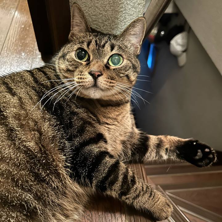 E438ce9a d0fe 4612 99d3 936e3cbc0916 1687955188119