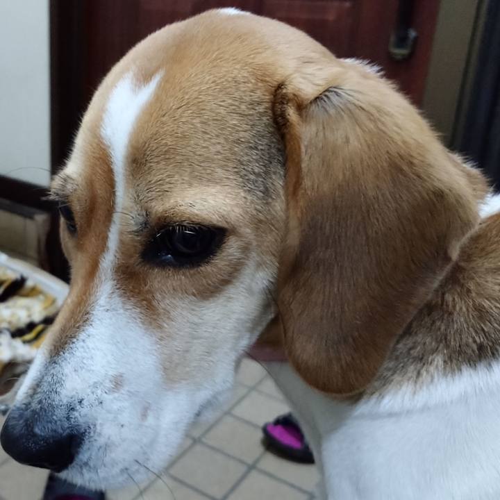 E438d520 4ddb 465a 9697 f3c5f7be8506 1577184472881