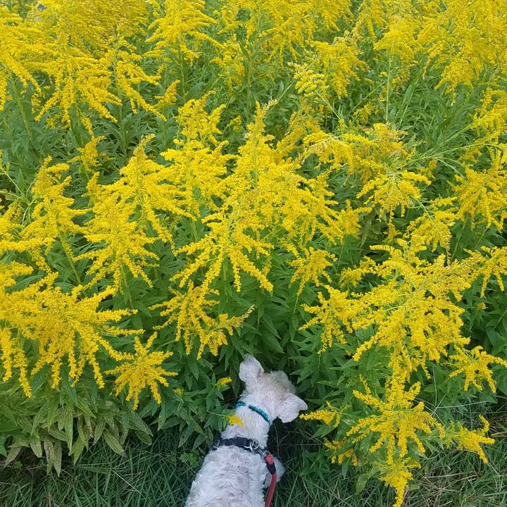 E438ee49 2f32 4719 83bd 1138f91de9fb 1571714249583