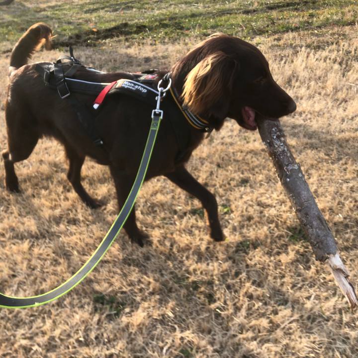 E438f17f f052 4fdb ba7b 7f3b74693ea3 1580033004420