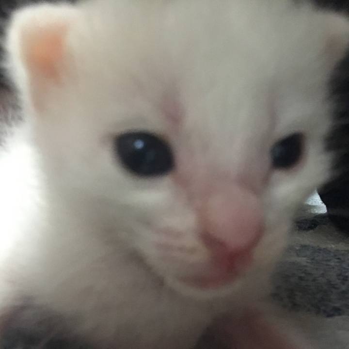 E438f9f2 fd17 4d72 9bf1 e983444f2c92 1589791517361