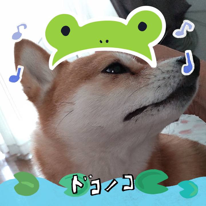 E439154d 8751 4f5e 95d8 e7459903552e 1717564532016