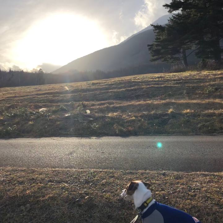 E4393926 45ce 4604 9b16 a64f0129b3cc 1543486810511