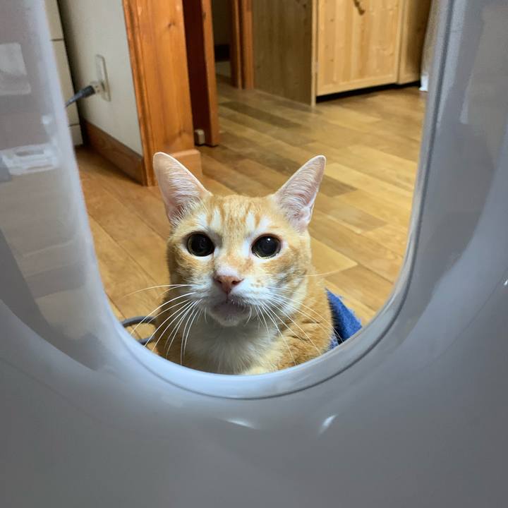 E43942cc 7f2b 4b13 a14b be5b38dedb08 1625687783419