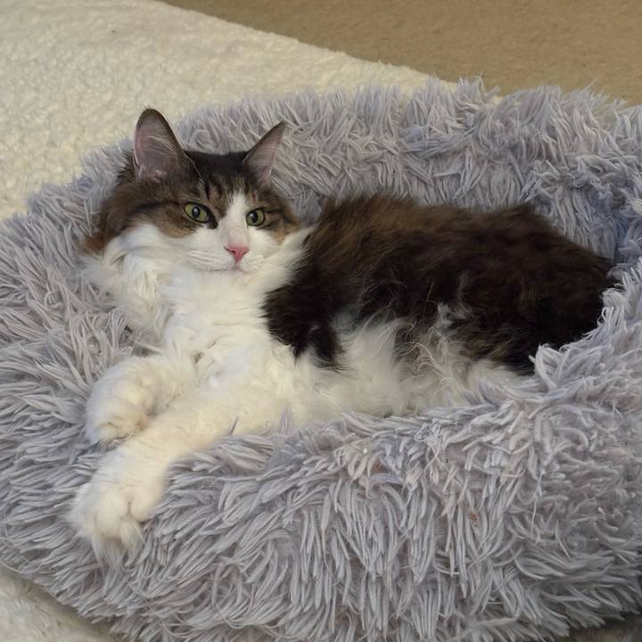 E439829f 688f 430a 8e57 3db8c36f2317 1769562857151