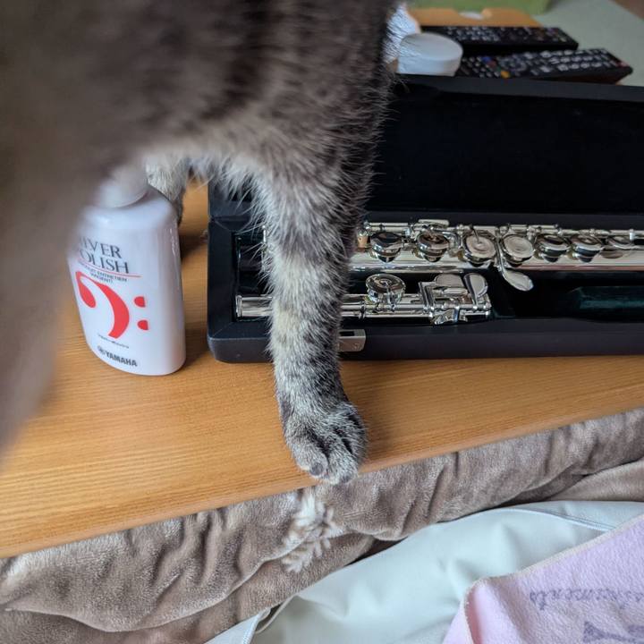 E439a040 d65a 4f9d a8da d603586aff51 1765019215057