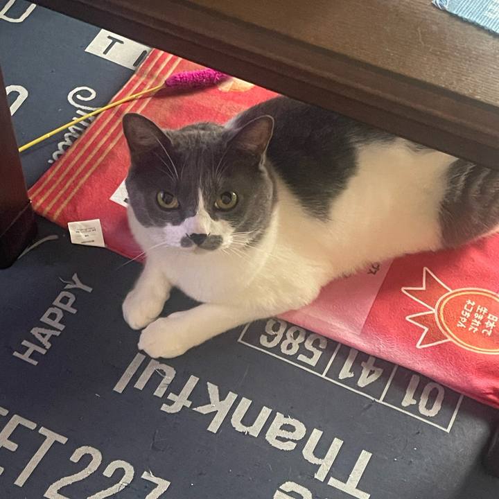 E439a5a5 2b0b 4f45 ad26 294ad9ccd31a 1720041859100