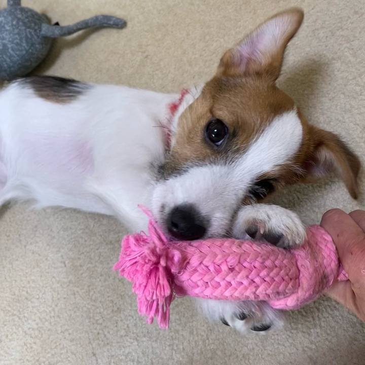 E439d55a 2a6a 426a 8227 bf0c8798ee2a 1614409159450