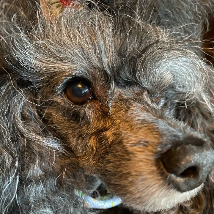 E439e550 e3d1 4979 a387 de500a3c0752 1753494282169