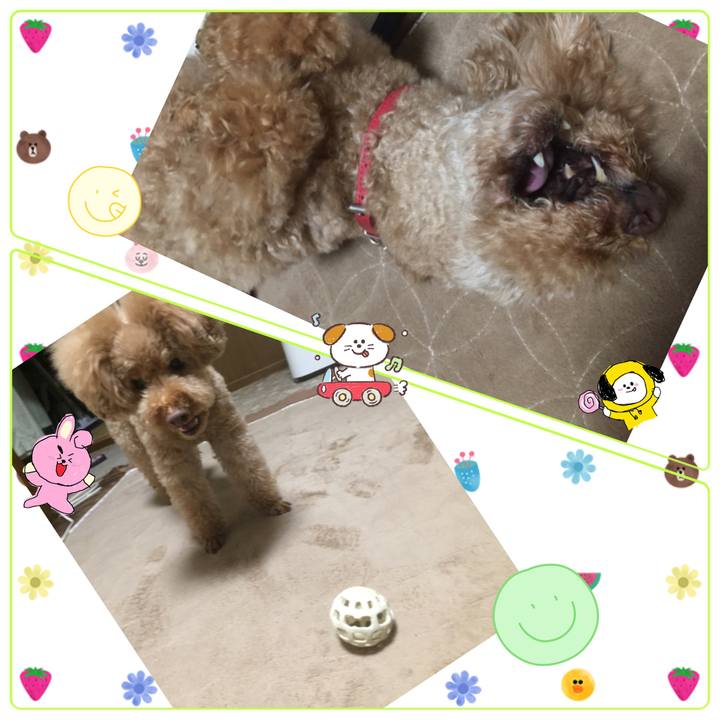 E439f7a2 e82c 4c10 986e 56fa5e68d38c 1519561612277