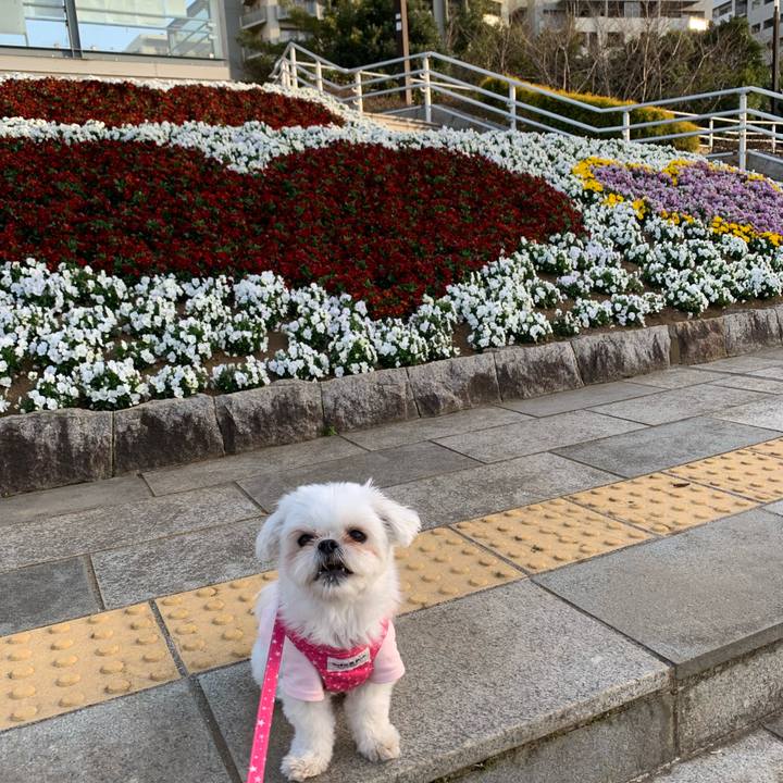 E43a52e3 586d 4164 bcbb c3c43ad04a43 1678533167277