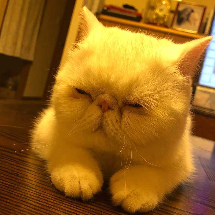 E43a6c02 56c3 4a16 ab72 2ee5c2c04575 1564486528571