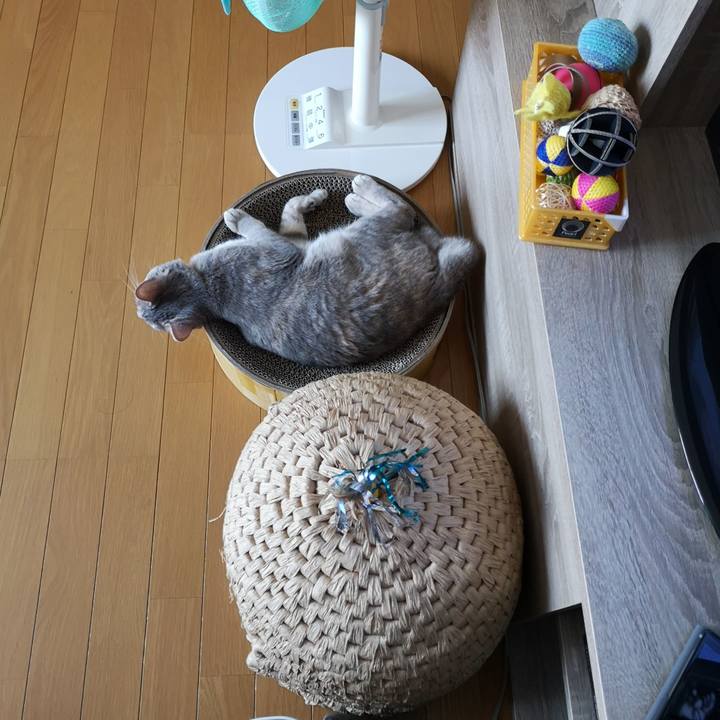 E43a768c 7425 40ad bf3d e09905645a2f 1558222942259