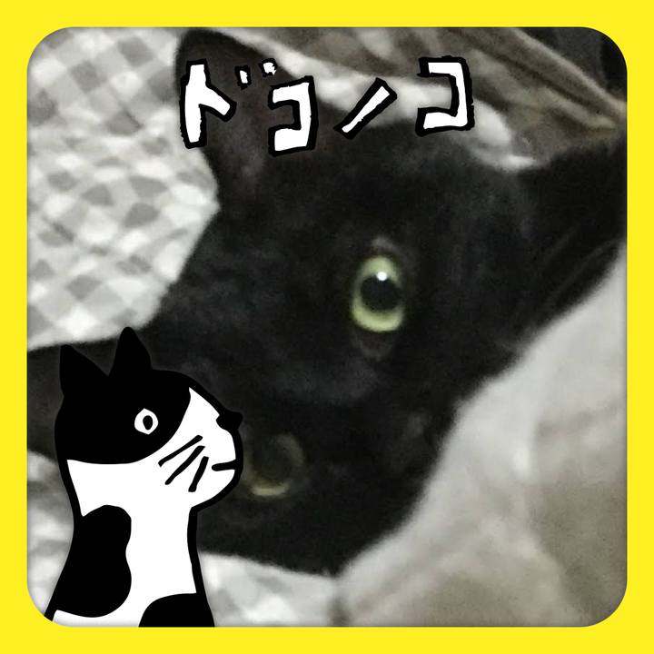 E43a9337 e821 486b a653 2da5c51ac3b6 1622857951013