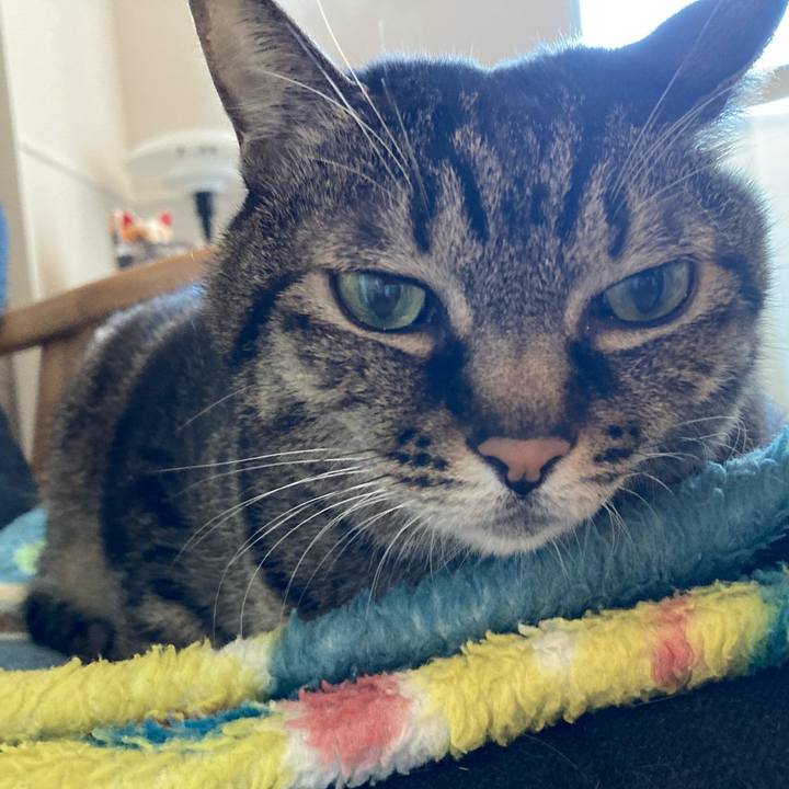 E43aa764 2384 4776 aad5 97682a999c56 1735956356135