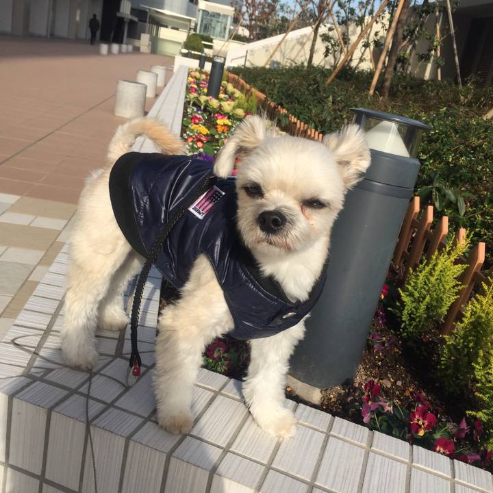 E43ac4c5 e42b 47c8 b691 86c8ec315a95 1545307009328