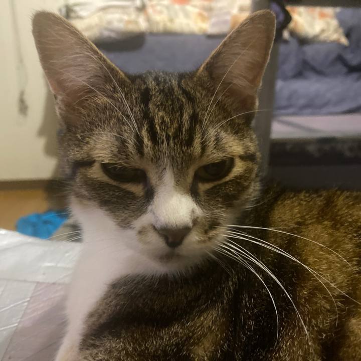 E43aceec 7e91 442a 8885 82fa89d84641 1658152082823