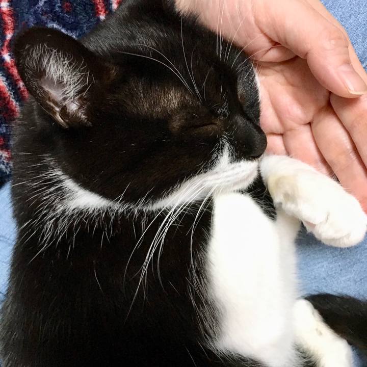 E43adf07 2205 48f6 a818 b08f199dddc2 1543324118873