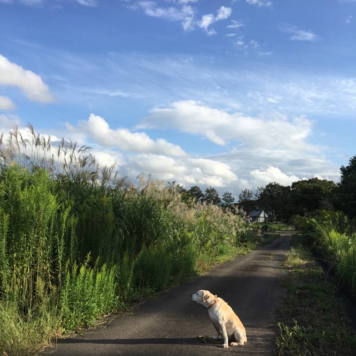 E43af85b 5cae 4e8a b55b 09b6cd806df5 1538467084999