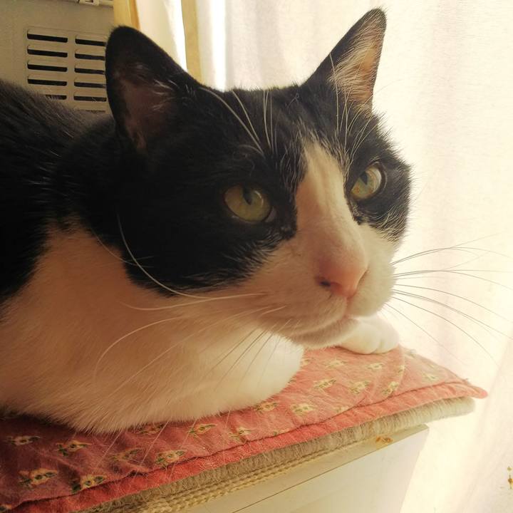 E43b0197 495e 4187 8a9f 1a05629d6352 1549585974611