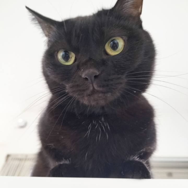 E43b2baa 4be2 44c2 a6b5 95e76f5ead71 1698617989178