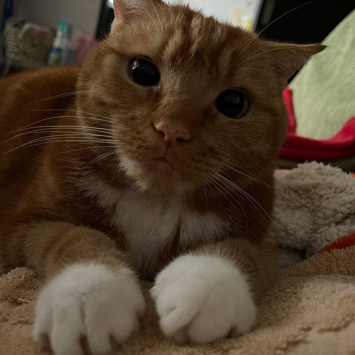 E43b4e73 22c8 44bf 9943 203045976932 1618633837703