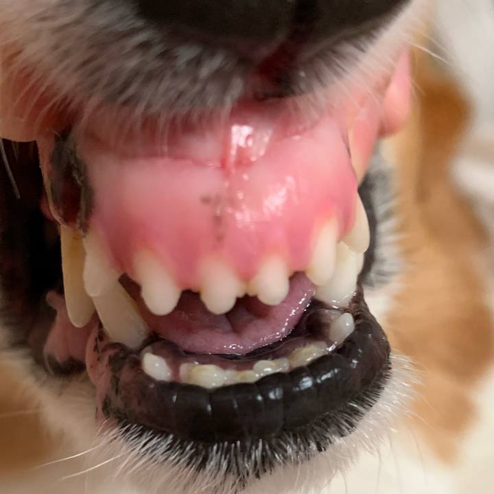 E43b5b1c c1e2 4175 bf3a 3bc6782bf793 1574224832159