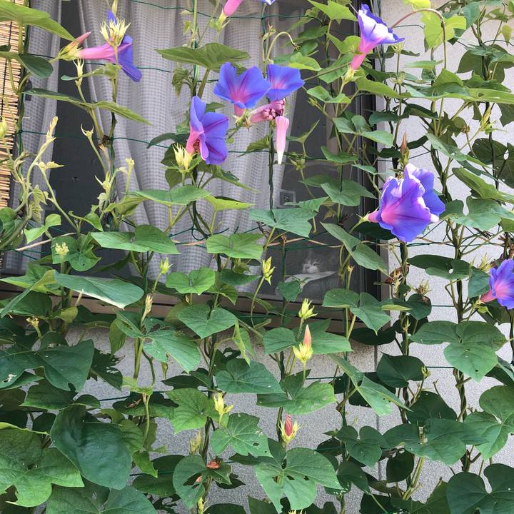 E43b661a 075d 4db8 a659 c0c591be7b9b 1658817525562