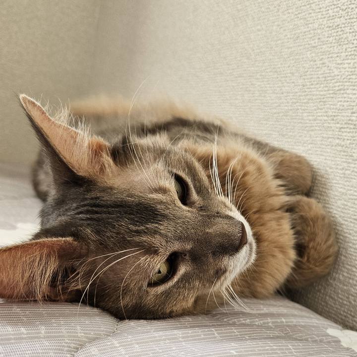 E43b72c8 814e 4ec5 b5e4 8bec62de58be 1724647174263