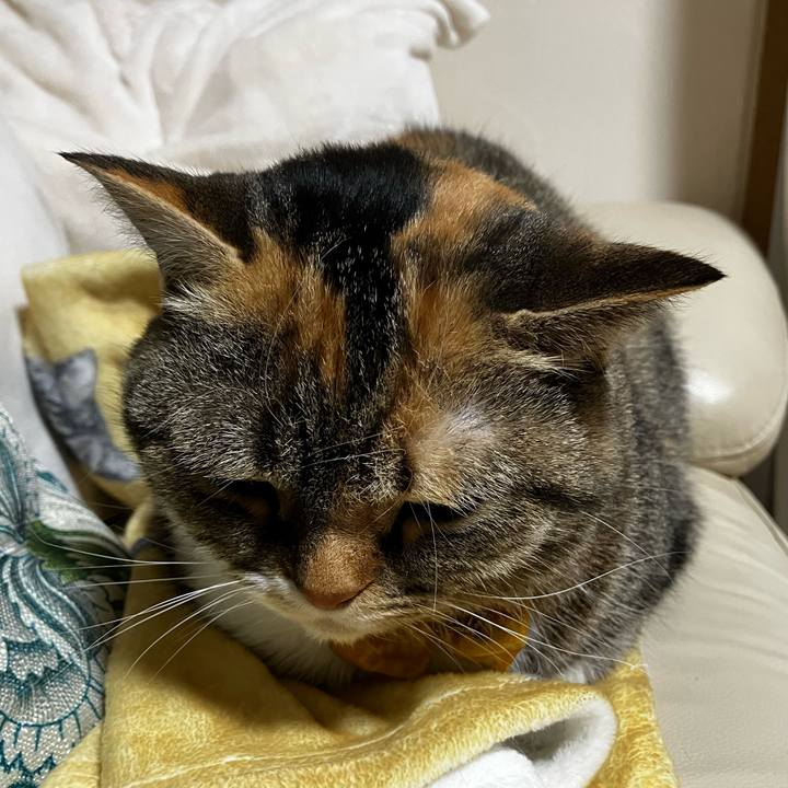 E43b94ac c614 4e11 ad91 3fac4f01277d 1775141737887