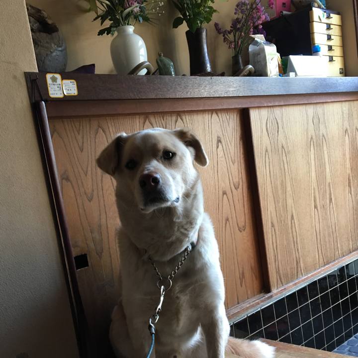 E43bc0c6 fa26 4ba7 858e bee36daa7803 1522330668145