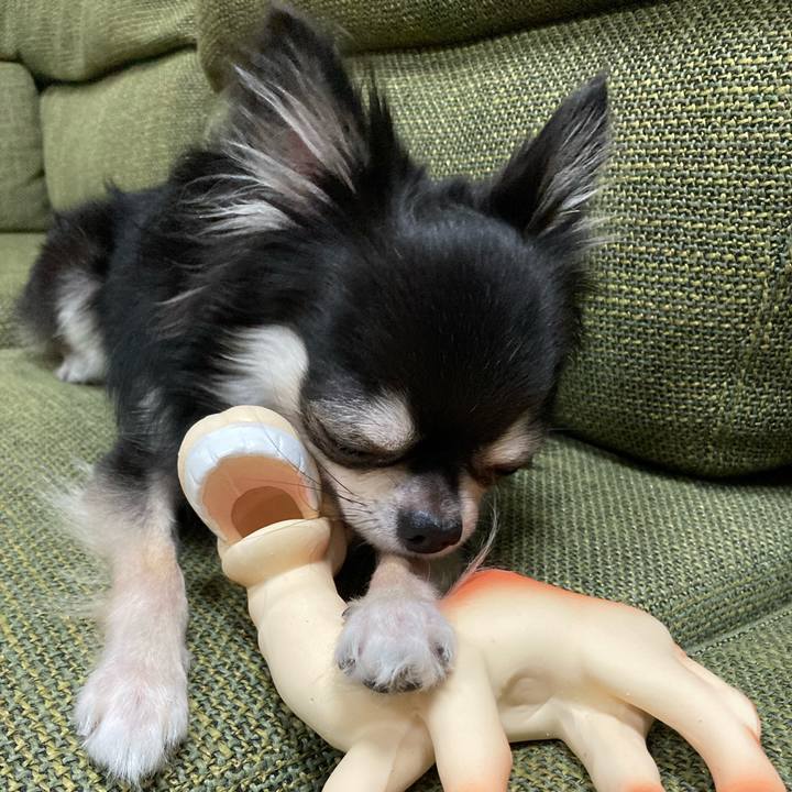 E43bc8e1 e8bd 48de 9383 e8e78ecca198 1664112918417