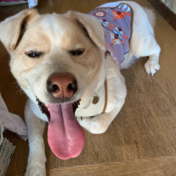 E43bfecb 9369 470a 8f65 605751afdfbd 1567299668739