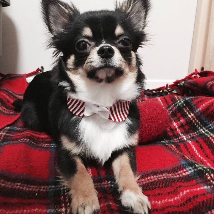 E43c0215 012d 4b04 ac18 9b8fca9c950f 1518275233877